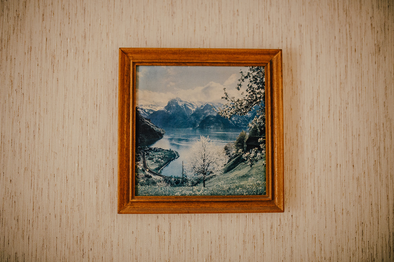 Alpenblick Bergpension